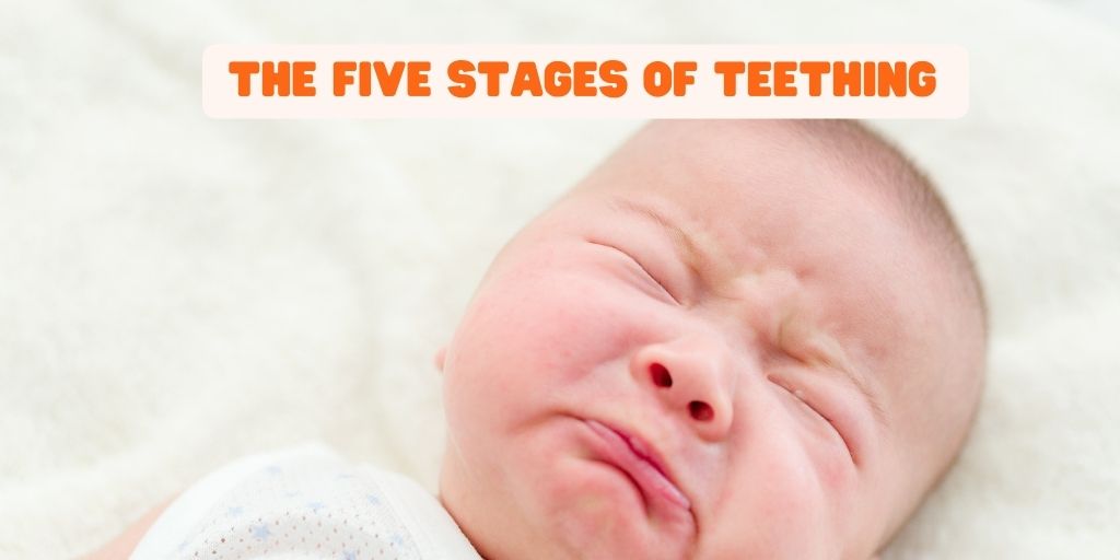 The Five Stages of Teething_SnoozeShade.com