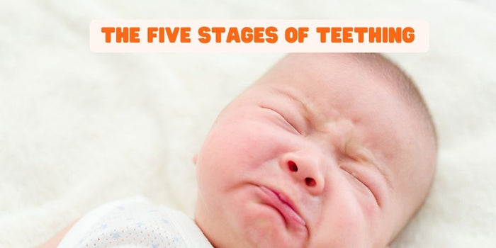 The Five Stages of Teething_SnoozeShade.com