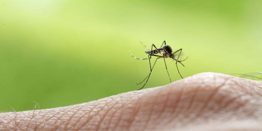 How can I protect my baby from mosquitoes?
